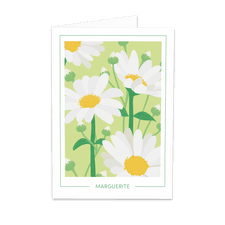 Bouquet de fleurs Carte Message Marguerite