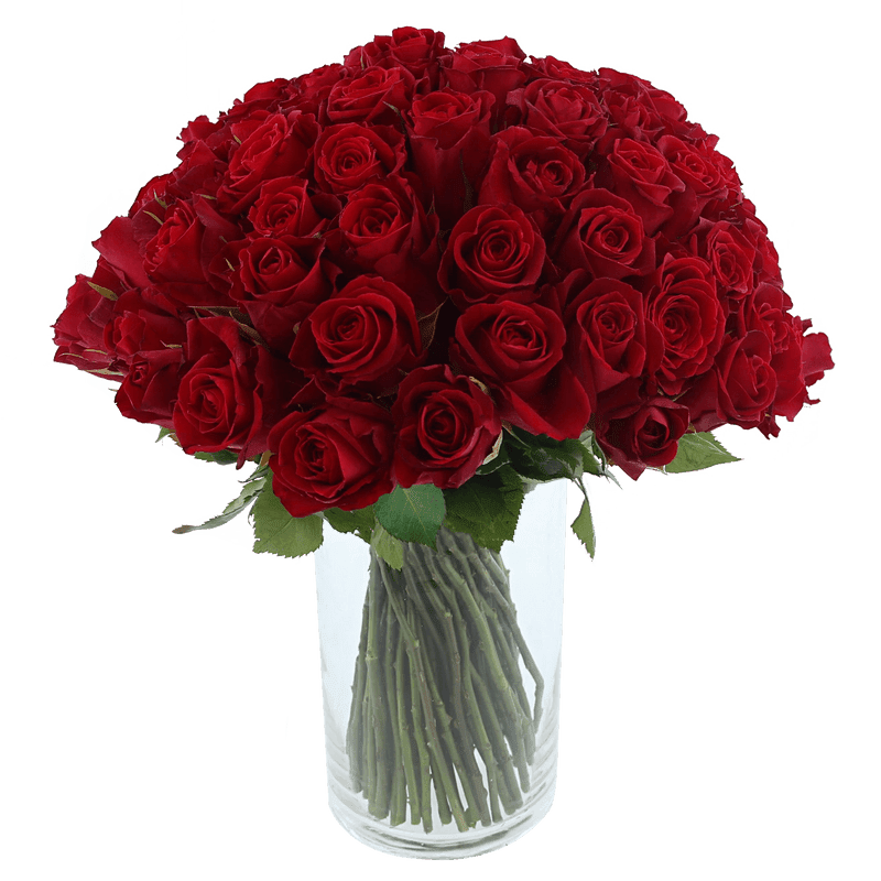 Bouquet de 101 roses rouges - Interflora - Livraison Fleurs en 24H