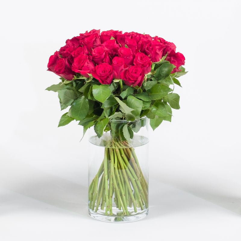 Roses rouges Max Havelaar - Interflora - Saint-Valentin
